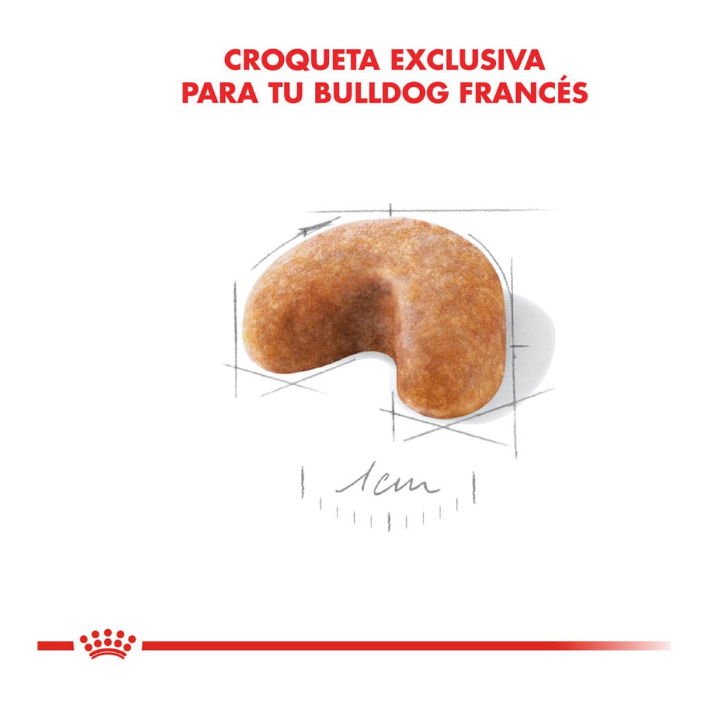 Royal Canin Bulldog Frances Puppy 3Kg – foto 2
