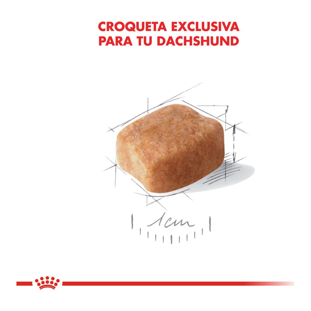 Royal Canin Dachshund Adulto 3Kg – foto 2