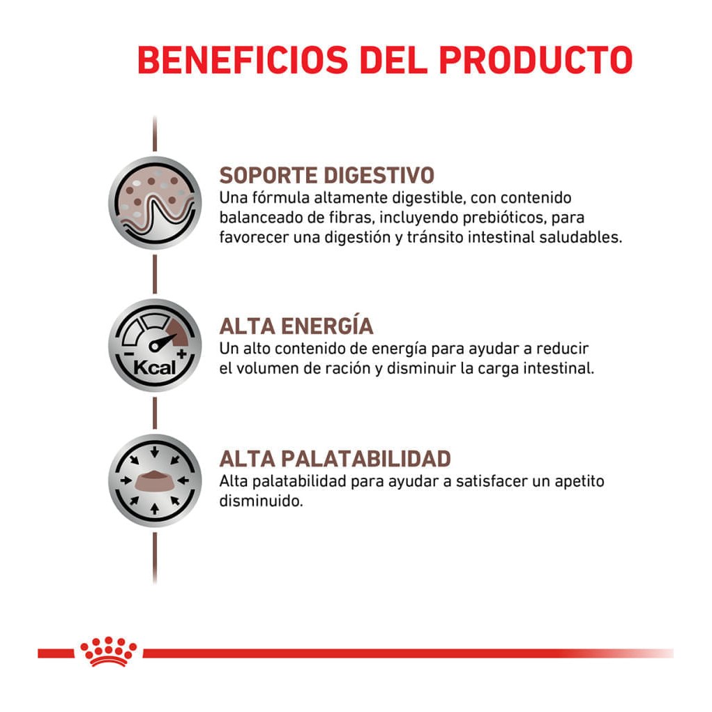 Royal Canin Gastrointestinal Dog X 10Kg – foto 2