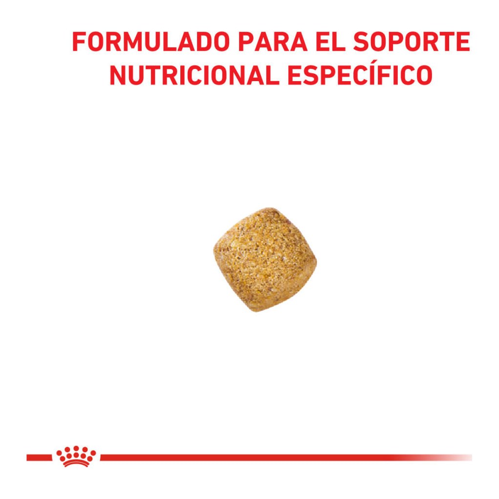Royal Canin Gatos Cast-Weight Control X1,5 – foto 2