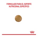 Royal Canin Hypoallergenic Feline X 2Kg – foto 2