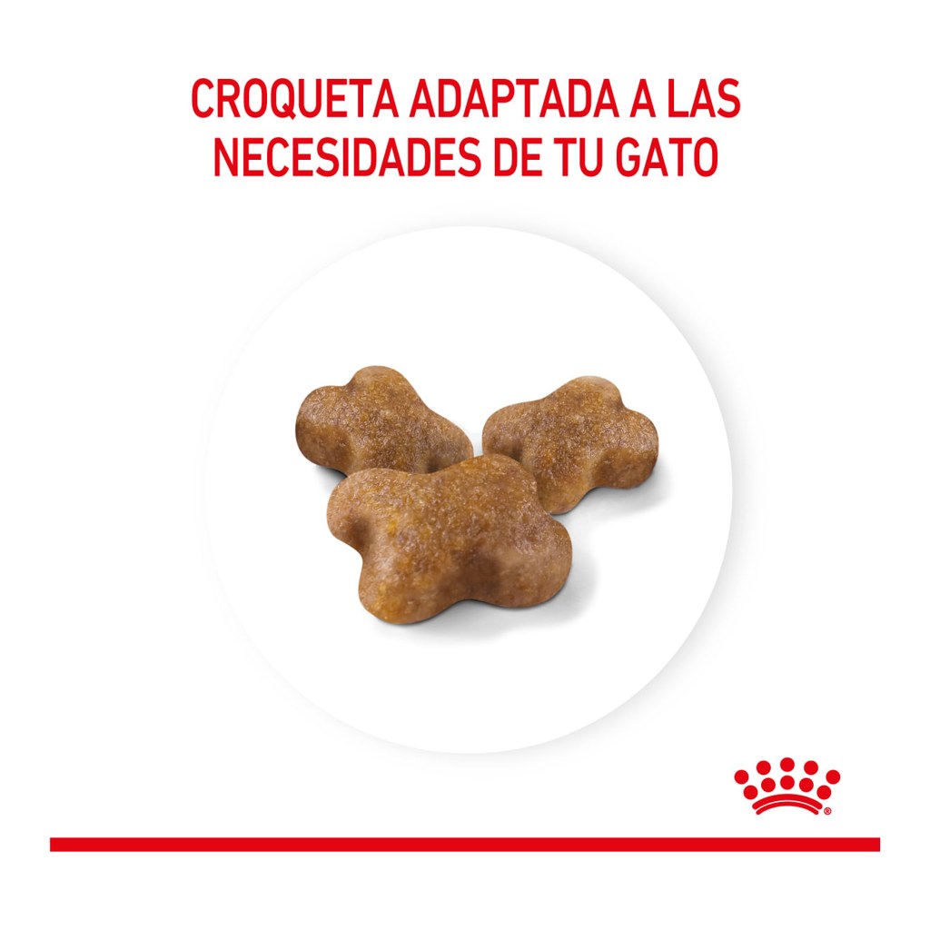 Royal Canin Kitten 7,5Kg – foto 3