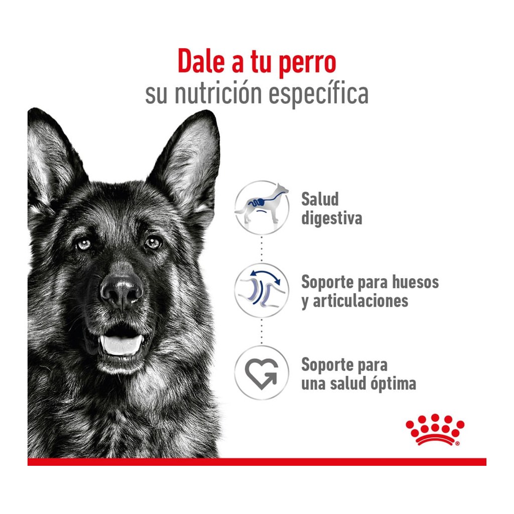 Royal Canin Maxi Adult 3Kg – foto 2