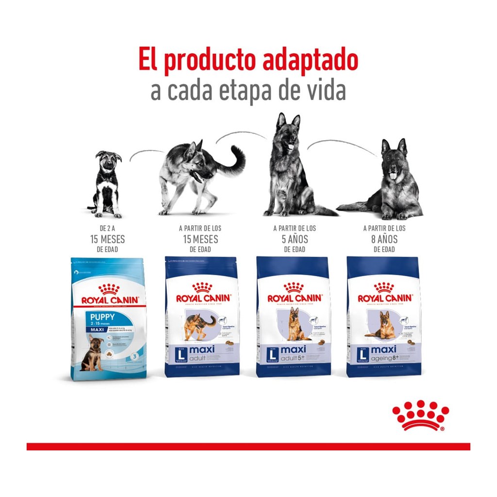 Royal Canin Maxi Adult 3Kg – foto 4