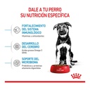 Royal Canin Maxi Puppy 3Kg – foto 2