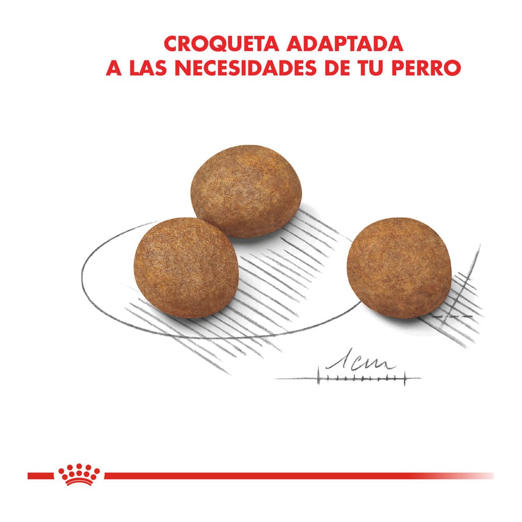 Royal Canin Maxi Puppy 3Kg – foto 3
