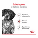 Royal Canin Medium Adult 7+ 3Kg – foto 2