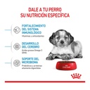 Royal Canin Medium Puppy 3Kg – foto 2