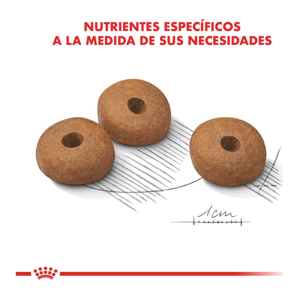 Royal Canin Medium Weight Care 10Kg – foto 2