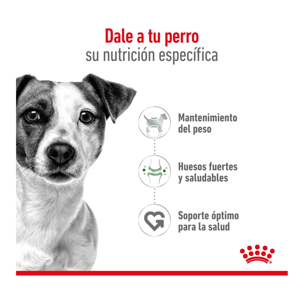 Royal Canin Mini Adult 7,5Kg – foto 2