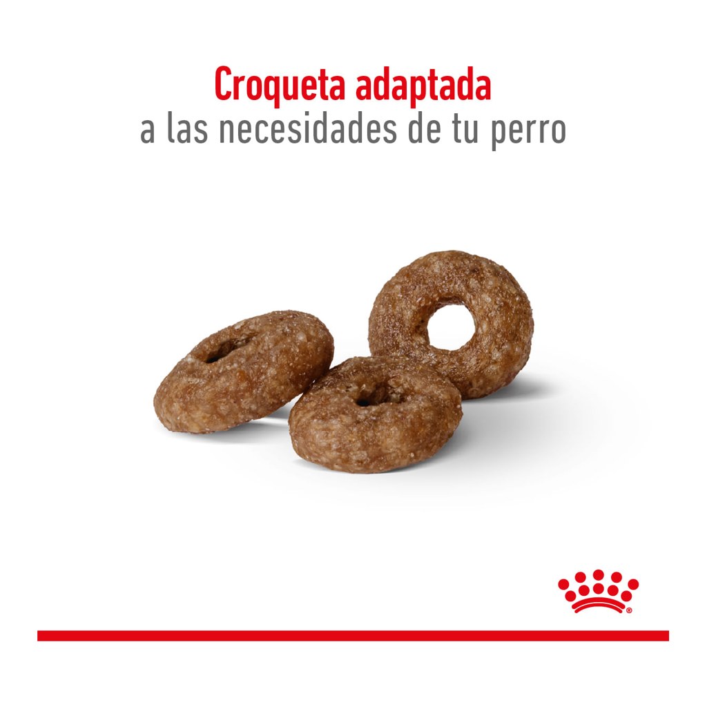 Royal Canin Mini Ageing 12+ 1Kg – foto 3