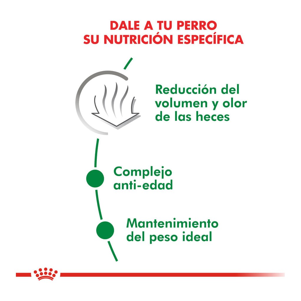 Royal Canin Mini Indoor 1Kg – foto 2