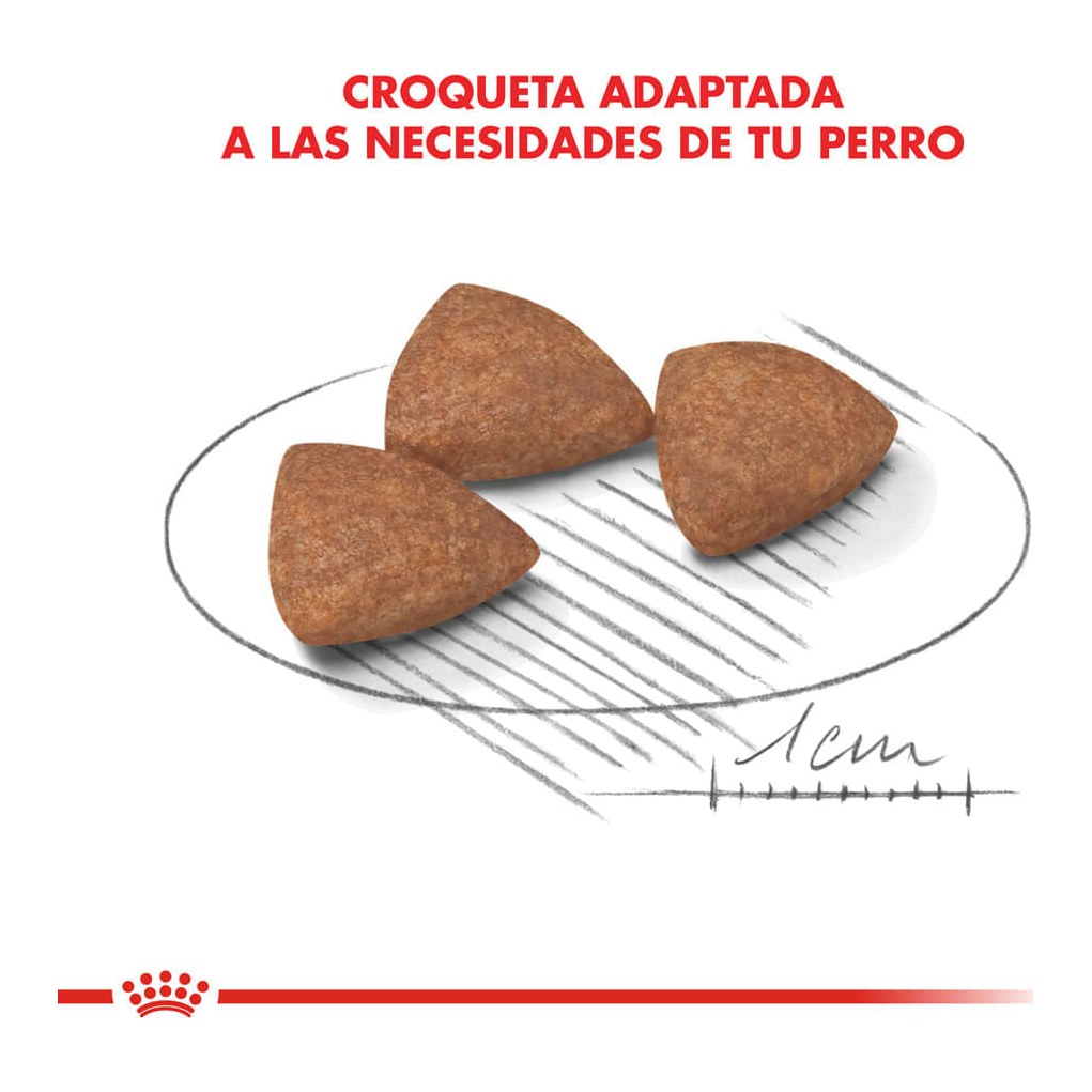 Royal Canin Mini Indoor 3Kg – foto 3