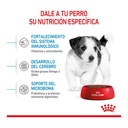 Royal Canin Mini Puppy X1Kg – foto 3