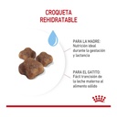 Royal Canin Mother & Baby Cat X 1,5 Kg – foto 2