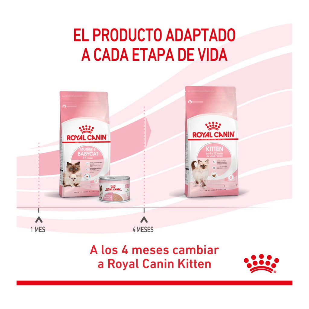 Royal Canin Mother & Baby Cat X 400 Gr – foto 2