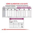 Royal Canin RENAL FELINE 2Kg – foto 3