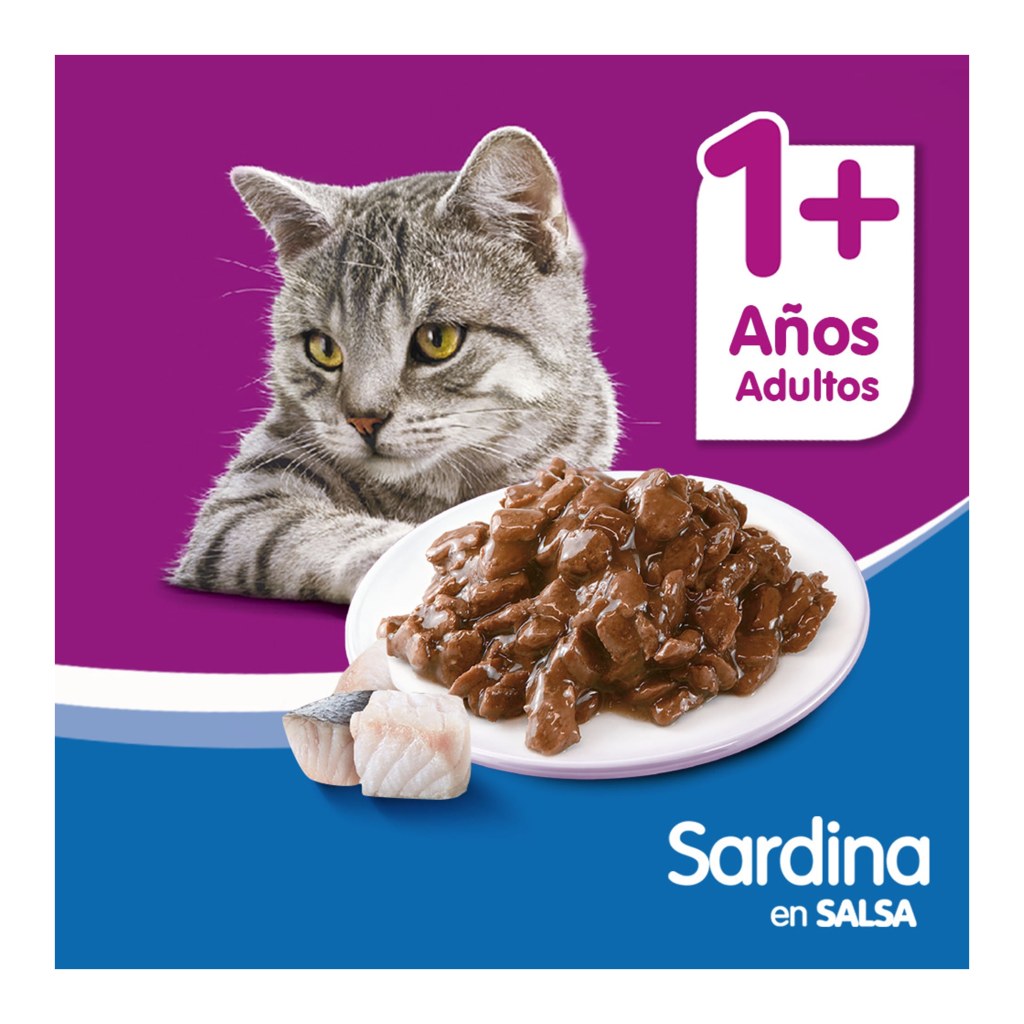 Whiskas Adulto Sardin SALSA 85Gr – foto 4