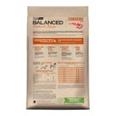 Balanced Perro Nat Recipe Corde X15 – foto 2
