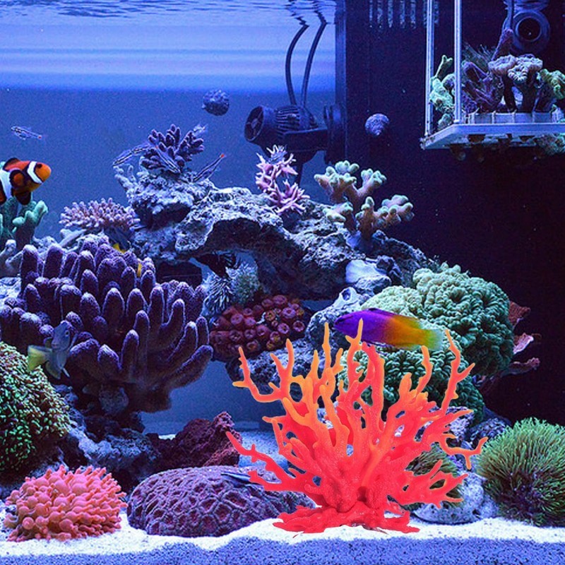 [ACU353] Adorno Coral Alcyonacea 10 Cm