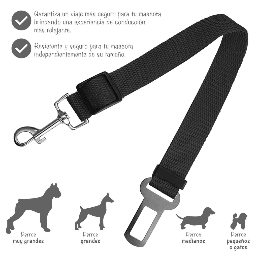 Cinturon De Seguridad