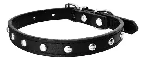 Collar Cuero Con Tachas 55 Cm