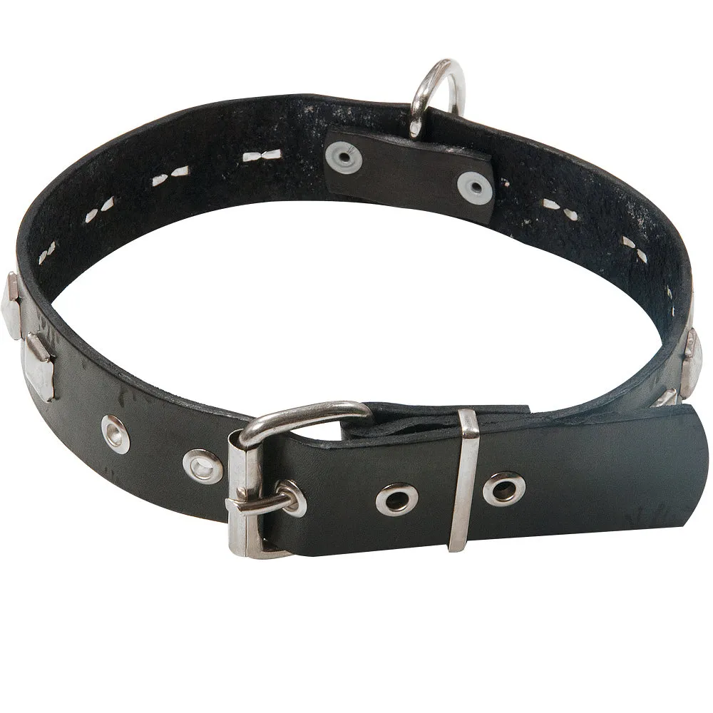 Collar Doble Grande Tacha CAB