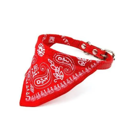 Collar Perro Pañuelo Mediano