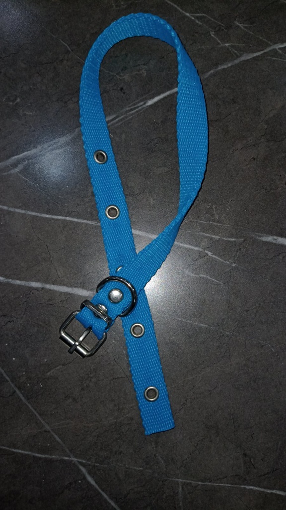 Collar Simple 20Mm X 55C