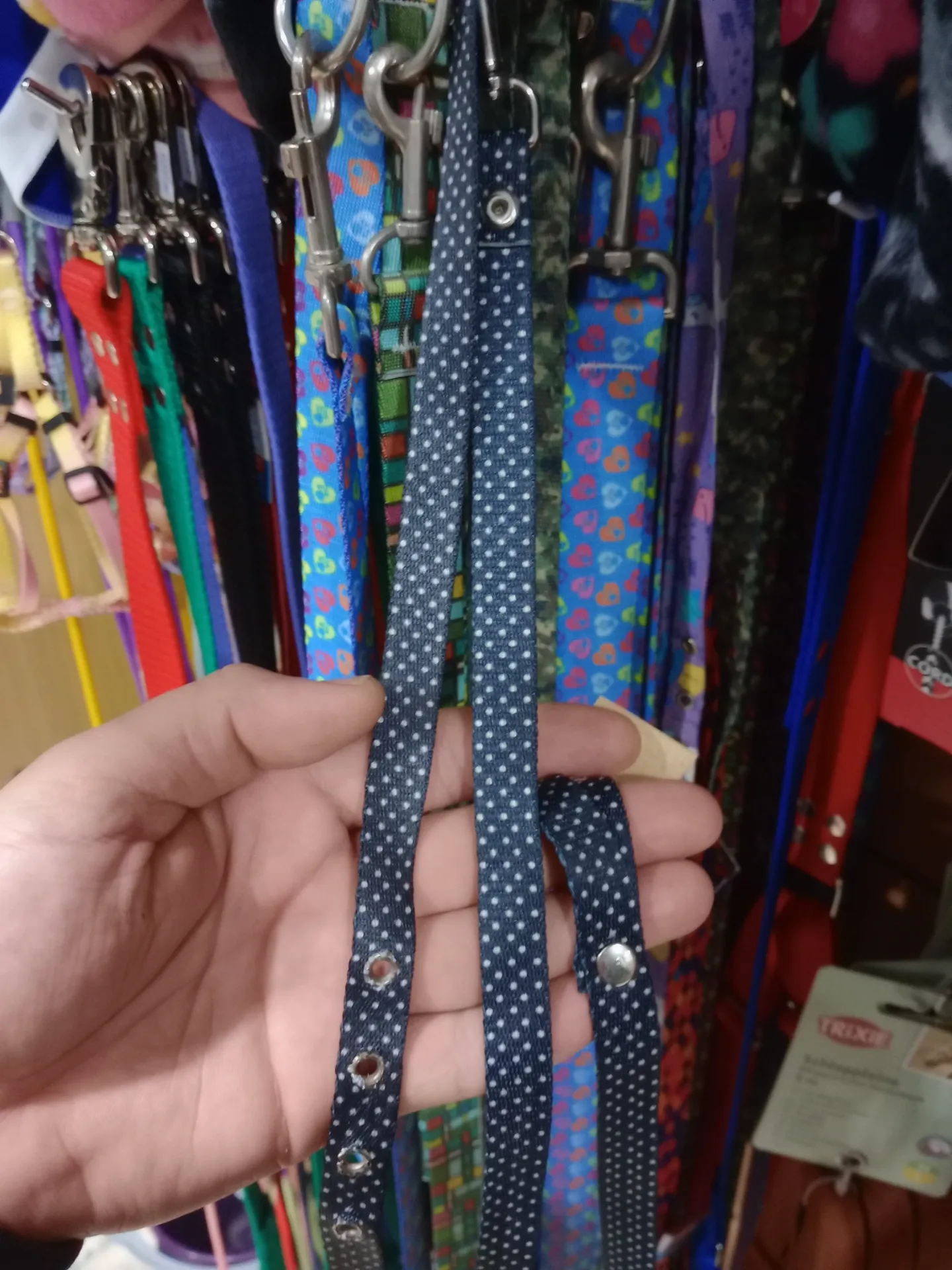 [ACC651] Conj Correa 1,5cm/ Collar 45Cm