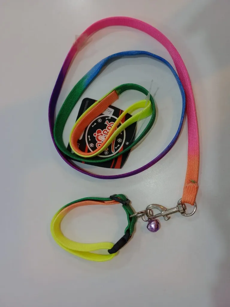 [ACC047] Conjunto Collar Y Correa Fluo