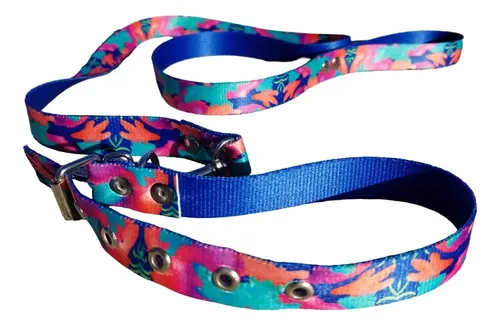 Conjunto Collar/Correa T1