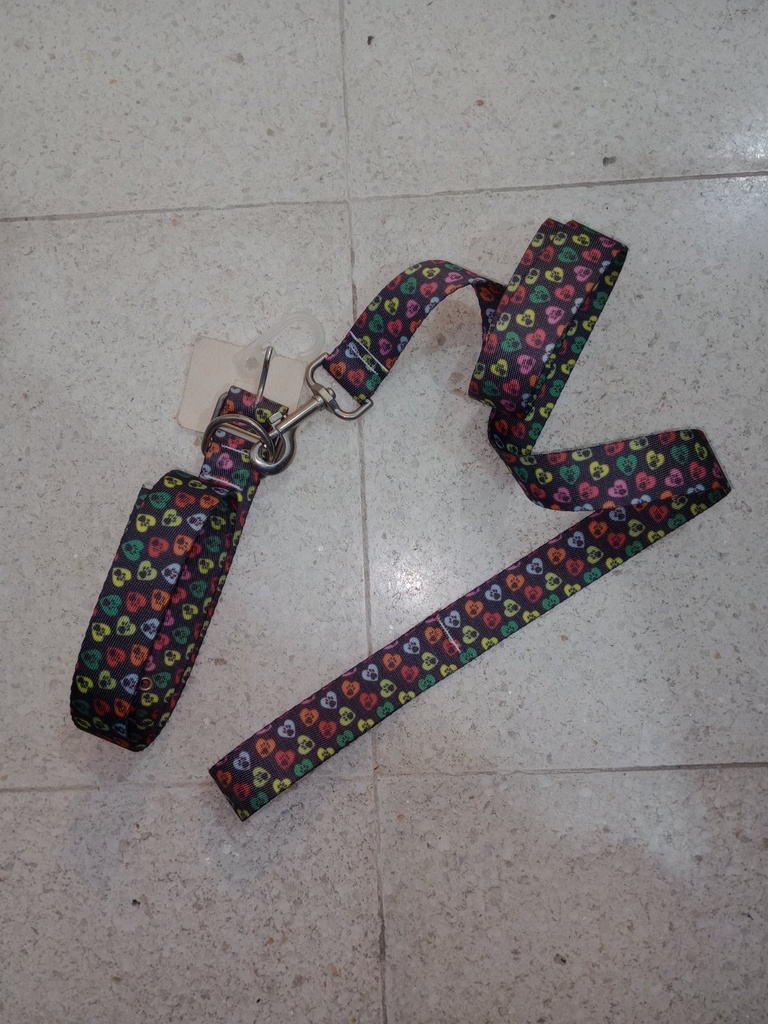Conjunto N7 Correa Y Collar