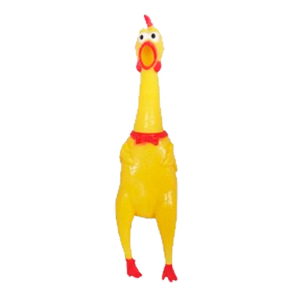 Gallina Cantora Grande