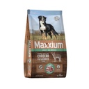 Maxxium Adulto Cordero X 15Kg