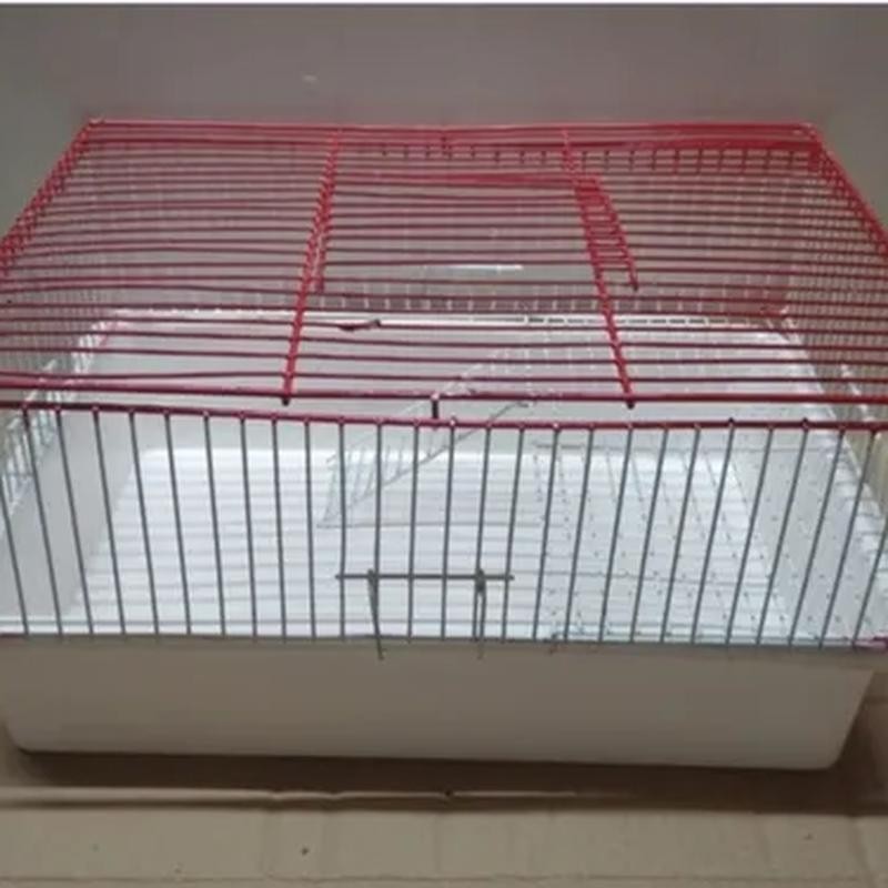 [HAM074] Hamstera C/Bandeja