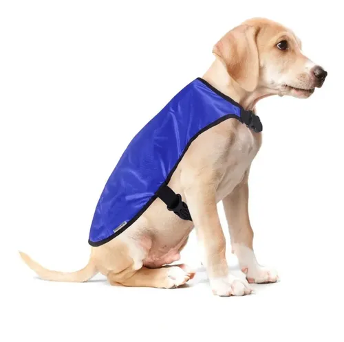 Piloto Impermeable Lumpy T25