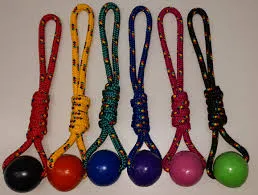 Juguete Pelota C/Soga 50Cm