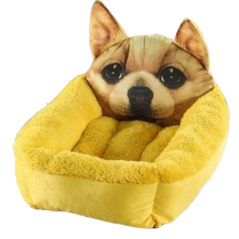 Moises Cara  Perro Amarillo