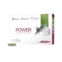 Power Comp P 10 A 20 Kg