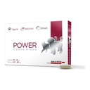 Power Comp P 5,1 A 10 Kg