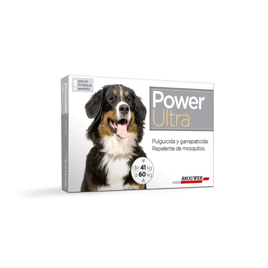 Power Perros + De 40 Kg