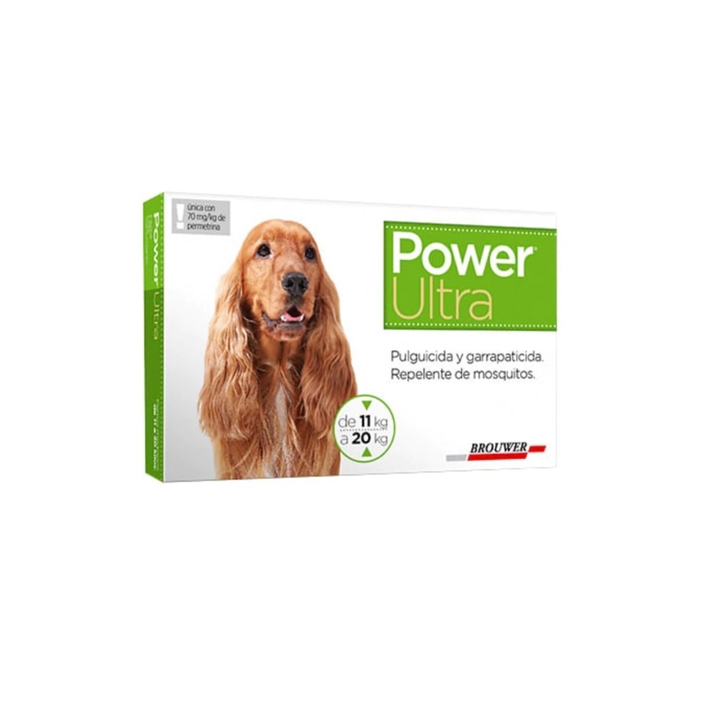 Power Perros De 10 A 20Kg