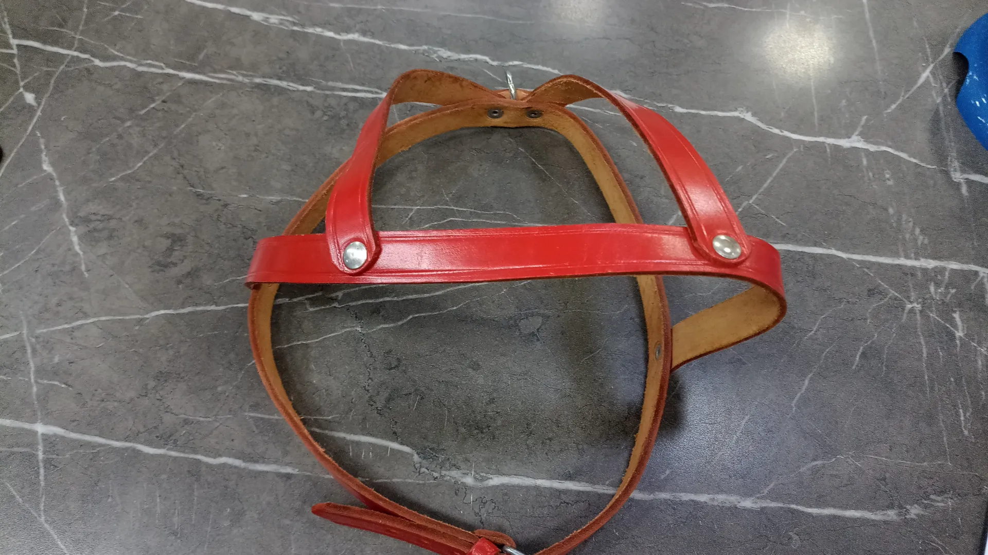 [ACC640] Pretal Cuero Pro Sc Collar Can