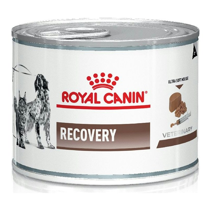 Royal Canin Recovery Dog/Cat X 195Gr